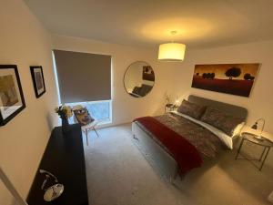 a bedroom with a bed and a mirror at Modern and Comfortable Flat with private parking in Oxford