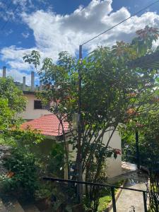 een uitzicht op een huis met een boom bij El refugio de Jhan in Vilcabamba