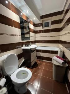 ein Bad mit einem WC und einem Waschbecken in der Unterkunft Alpine Escape by BOB in Cavnic