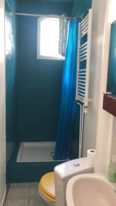 bagno con tenda doccia blu e servizi igienici di Appartement charonne a Parigi