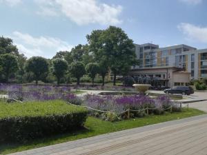 a garden with purple flowers in a parking lot at Art Illery Apartment in Riga