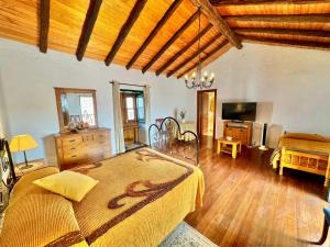 ein Schlafzimmer mit einem großen Bett in einem Zimmer in der Unterkunft Guanche 'Casa rural canaria' in San Miguel de Abona