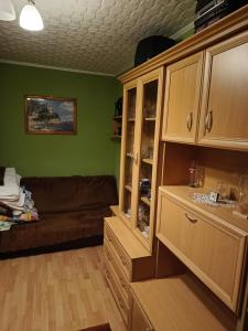 ヴィエリチカにあるMieszkanie 2pokojoweの緑の壁のリビングルーム(ソファ付)
