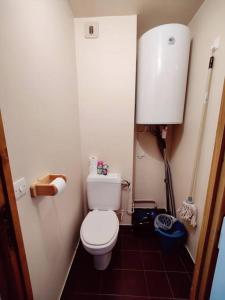 een kleine badkamer met een toilet in een kamer bij Appartement ski in out 5 in Les Houches