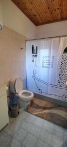 een badkamer met een toilet en een douchegordijn bij Peak heaven in Feneos