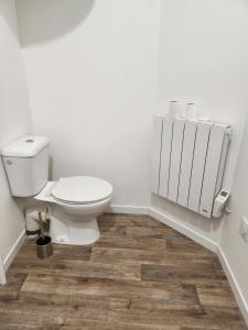 a bathroom with a toilet and a wooden floor at Le meublé de Jules et Jade in Casteljaloux