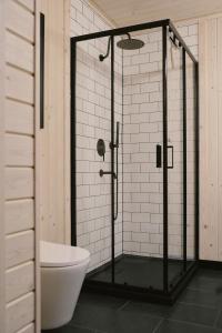 a bathroom with a shower and a toilet and a sink at Pieprz & Sól FARMHOUSES in Załuczne