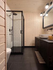 a bathroom with a shower and a toilet and a sink at Pieprz & Sól FARMHOUSES in Załuczne