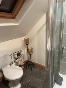 a bathroom with a toilet and a glass shower at The Loft @ Kildare Village in Kildare