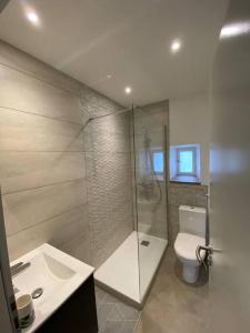 a bathroom with a shower and a toilet and a sink at Verger - Parking gratuit - Calme in Chambéry