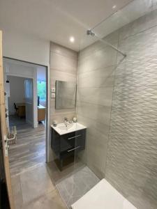 La salle de bains est pourvue d'un lavabo et d'une douche. dans l'établissement Verger - Parking gratuit - Calme, à Chambéry