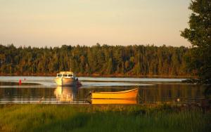 Φωτογραφία από το άλμπουμ του Waterside Apts. σε Cardigan
