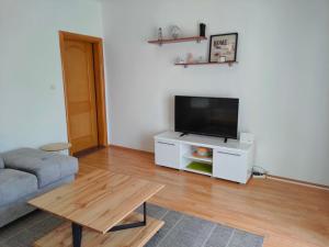 a living room with a couch and a flat screen tv at Vacation home Bruna in Pisak