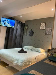 1 dormitorio con 1 cama y TV de pantalla plana en la pared en Velours & Balnéo, en Saint-Nazaire
