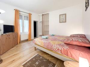 1 dormitorio con 1 cama y TV de pantalla plana en La Vallée de Guyancourt - Jardin privé, en Guyancourt