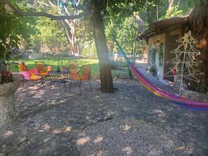 Eine Gruppe von Stühlen und ein Tisch unter einem Baum in der Unterkunft Habitación Luciernagas in Xoxocotla + 16 Fotos