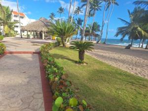 einen Fußweg neben einem Strand mit Palmen in der Unterkunft Ocean view superior in Juan Pedro