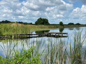 a dock in the middle of a body of water at The Tatman Evergreen Suite in Lake Alfred