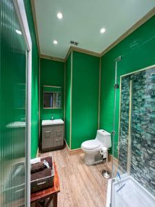 baño verde con aseo y ducha en The Tatman Evergreen Suite, en Lake Alfred