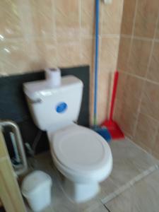 a bathroom with a white toilet in a room at Cabina de vacances caballo del mar sur la plage in Parrita