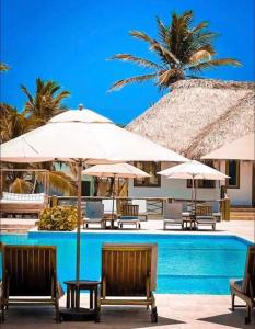 una piscina con sedie, ombrelloni e una palma di New Casino, beach and golf condo at Hard Rock Punta Cana area a Punta Cana