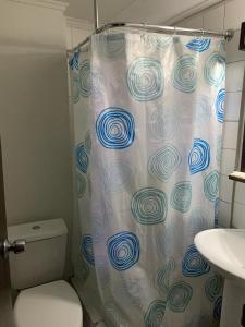 a bathroom with a shower curtain with a toilet at Hotel Alameda in Santiago
