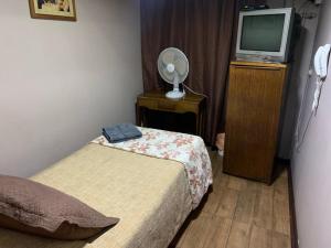 1 dormitorio con 1 cama, TV y ventilador en Hotel Alameda, en Santiago