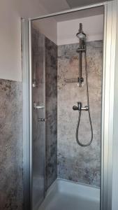 W łazience znajduje się prysznic ze szklanymi drzwiami. w obiekcie Ferienwohnung Hauptmann w mieście Frauenwald