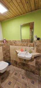 a bathroom with a sink and a toilet and a mirror at Pension u Havrana in Jetřichovice