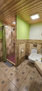 een badkamer met een douche, een toilet en een bad bij Pension u Havrana in Jetřichovice