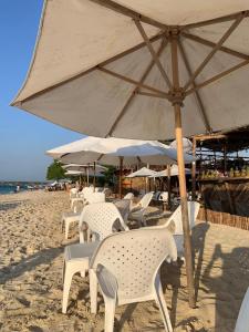 a group of chairs and an umbrella on the beach at ROCHA BEACH CLUB in Barú