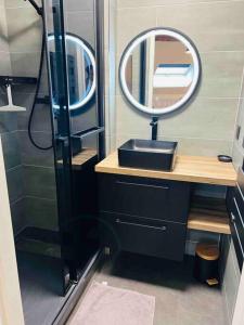 a bathroom with a sink and a mirror at Appartement spacieux / T2 refais à neuf / proche centre in Chambéry