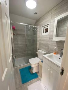 a bathroom with a shower and a toilet and a sink at Charming Private Guest House in Enfield