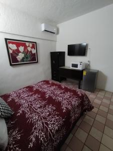 ein Schlafzimmer mit einem Bett, einem Schreibtisch und einem Fernseher in der Unterkunft Tres Migueles, estudio Luupita, cerca de la marina, zona turistica y playa in Cabo San Lucas