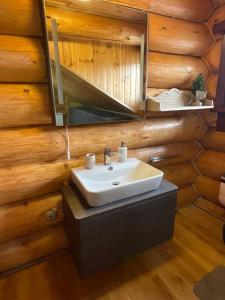 un bagno con lavandino in una baita di tronchi di DADA Chalet - Vatra Dornei, Bucovina a Vatra Dornei