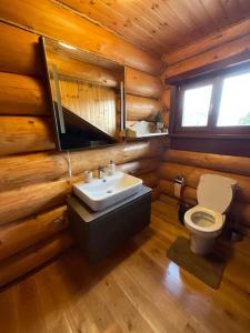 un bagno con servizi igienici e lavandino in una baita di tronchi di DADA Chalet - Vatra Dornei, Bucovina a Vatra Dornei