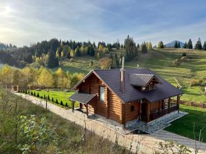 una casa in legno con tetto su una collina di DADA Chalet - Vatra Dornei, Bucovina a Vatra Dornei