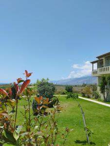 Gallery image of Argilos Apartments in Frangokastello