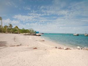 a sandy beach with the ocean and palm trees at La casa del pescador in La Paz