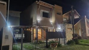 a dog standing in front of a house at night at Casa del parque in Necochea