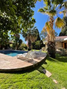 un jardin avec une piscine et une pelouse. dans l'établissement Chalet del Sol, à Luján de Cuyo