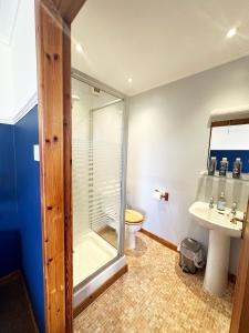 a bathroom with a shower and a toilet and a sink at Orchard House Lodges by Ecohuman in Haddington