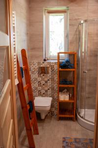 a bathroom with a toilet and a shower and a window at Ranczo Molikówka gospodarstwo z Końmi Sauna i Banią in Siołkowa