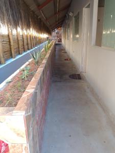 uma fila de plantas numa parede num corredor em HospedajesPerú em Zorritos