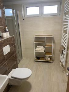 een badkamer met een toilet, een douche en een wastafel bij #1 U Lanovky in Červená Voda