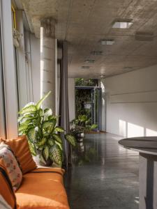 ein Wohnzimmer mit Sofa und einigen Pflanzen in der Unterkunft ArtBau Designhotel in Waldkirch