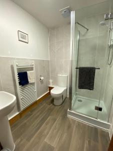 a bathroom with a toilet and a glass shower at Castle Inn in Knighton