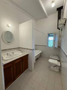 een badkamer met een wastafel, een toilet en een bad bij La Lomita, Calamuchita, un plan de tranquilidad y naturaleza plena in Cordoba