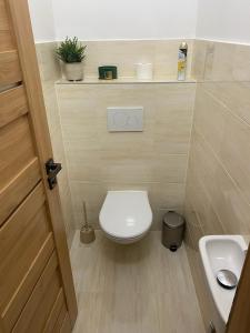 een kleine badkamer met een toilet en een wastafel bij #1 U Lanovky in Červená Voda