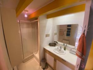 a bathroom with a sink and a shower at Jolie maison de campagne au bord d'un ruisseau in Vinon +13 photos